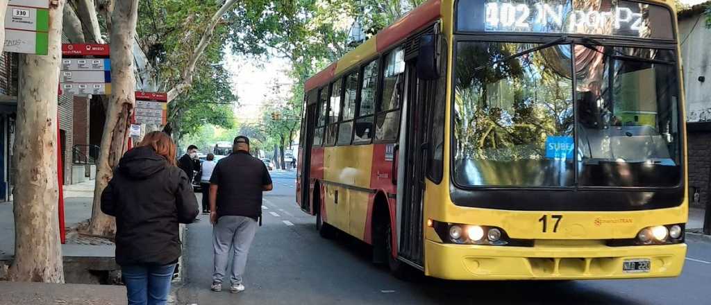 Habrá más frecuencias de micros para ir a votar a escuelas alejadas