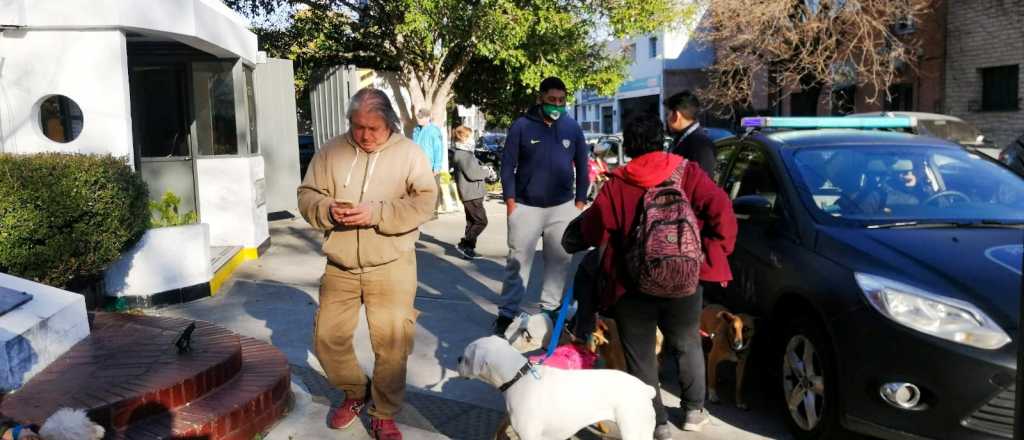 Quisieron linchar a un conductor que mató a 4 perros