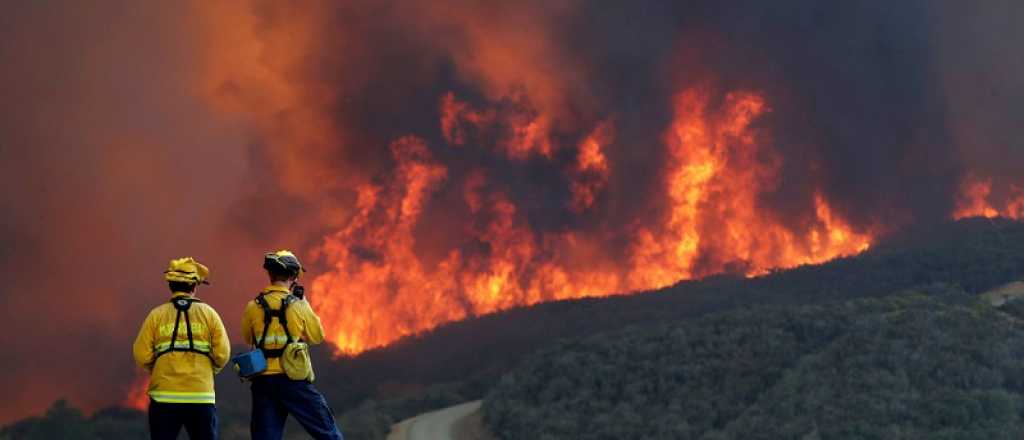 Ola de calor en el hemisferio norte causa incendios