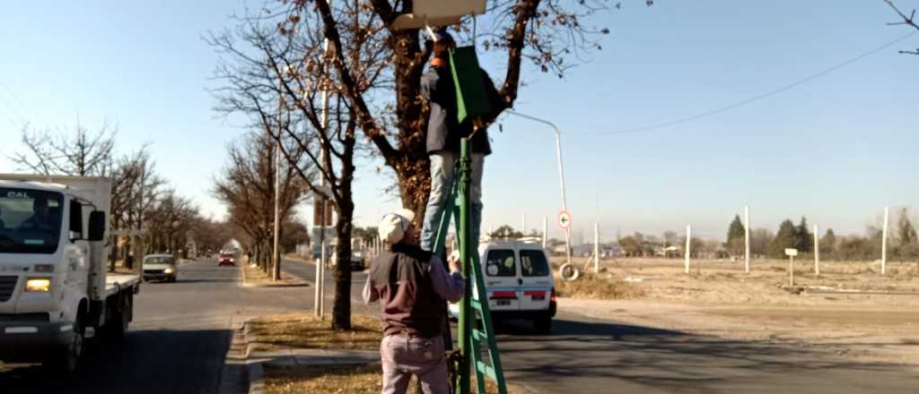 San Rafael colocó 200 luminarias nuevas en la avenida Los Sauces