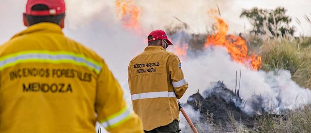 Continúan incendiando pastizales en Valle de Uco