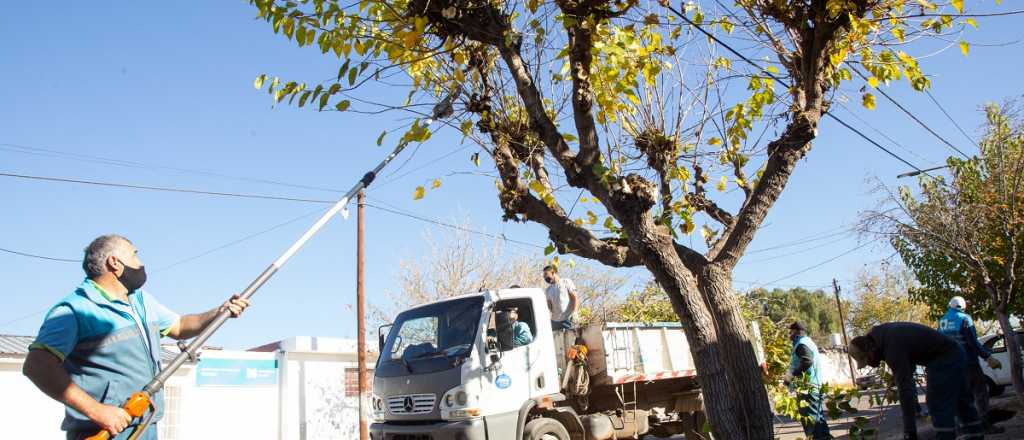 Continúan los trabajos en Ciudad: el cronograma para esta semana