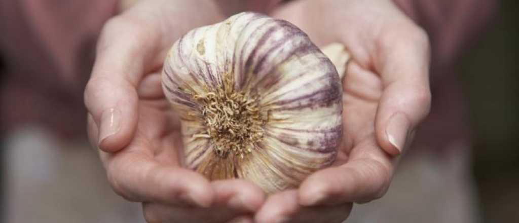 Poderes del ajo: el superalimento más humilde de tu heladera