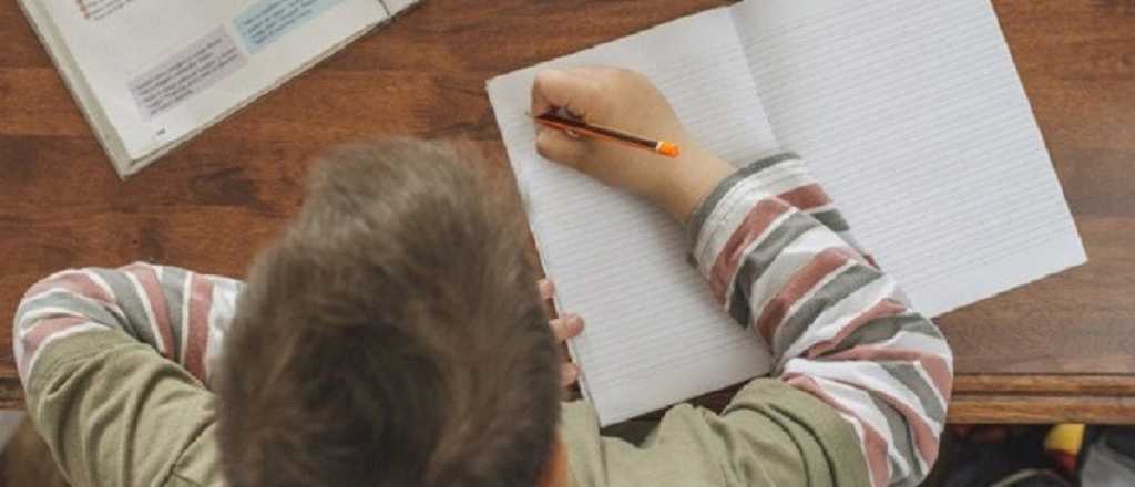 Encontró en el cuaderno de su hijo un repudiable comentario de la maestra