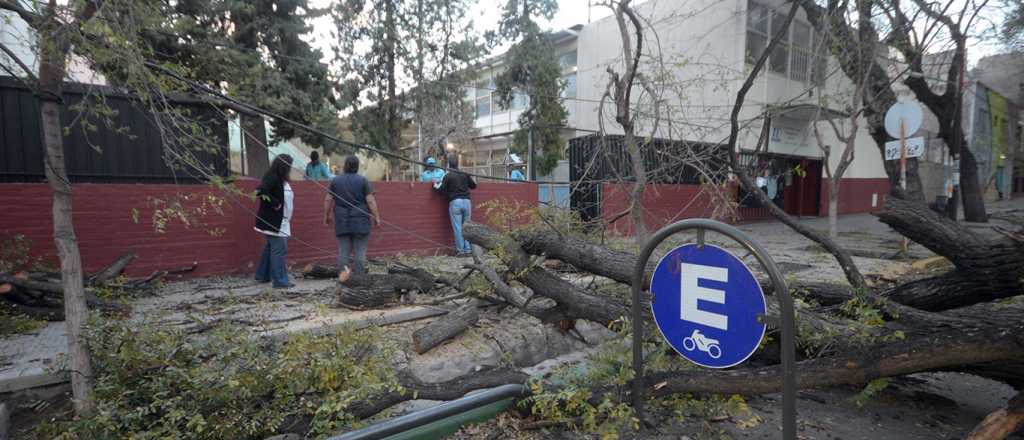 Lo que dejó el Zonda: incendios, árboles caídos y destrozos