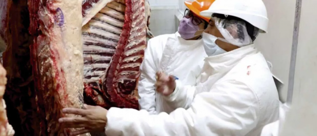 Suman cortes de carne con precio de referencia