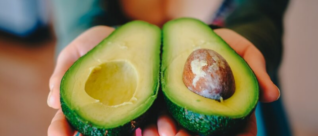 ¿Para qué sirve la semilla de la palta?