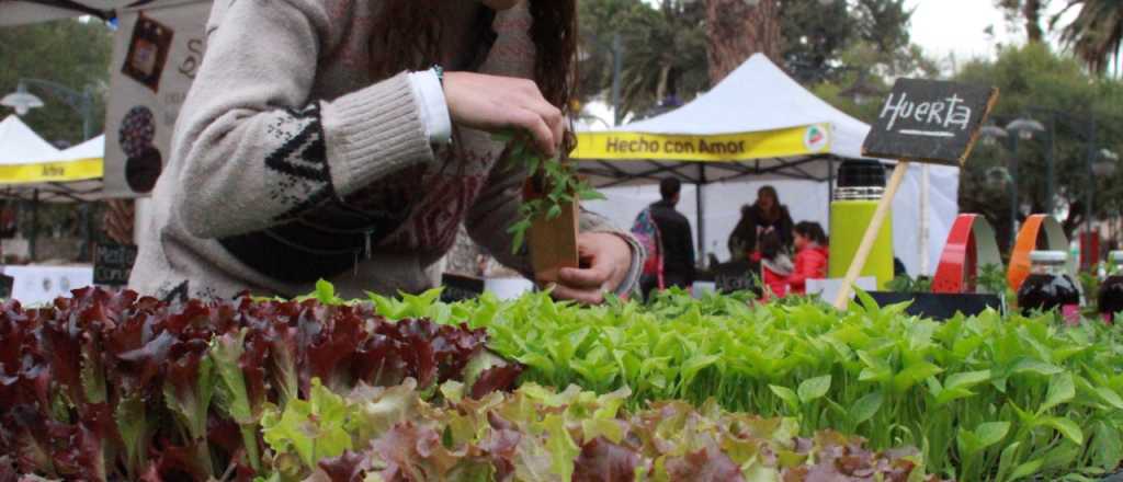 Se viene otra Feria de Luján Natural