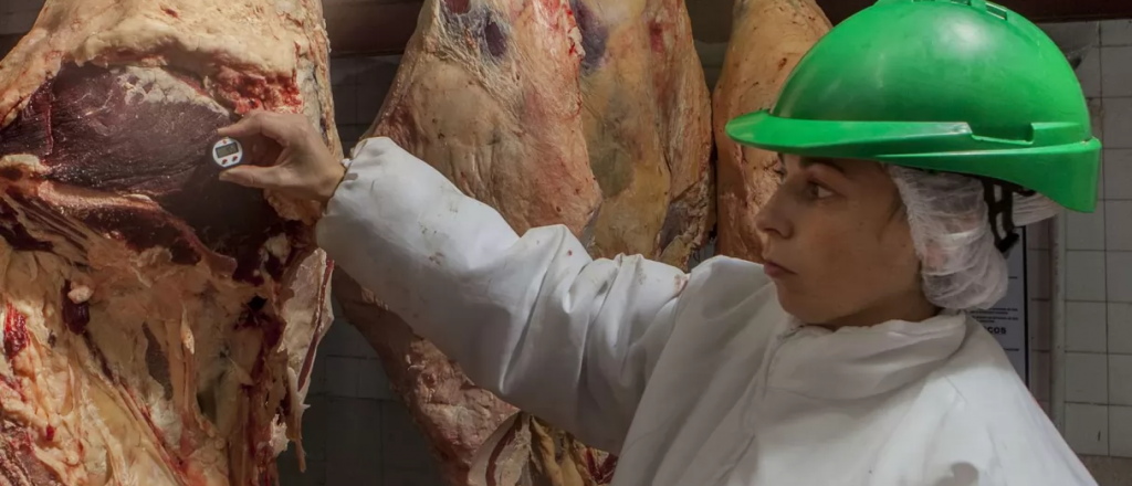 Argentina exportará carne bovina a México