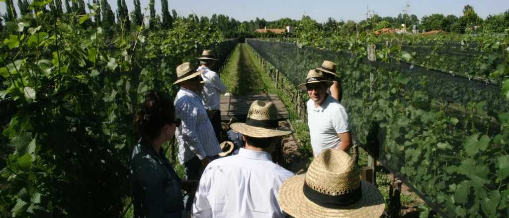 El diario francés Le Monde destacó a Mendoza y a sus vinos