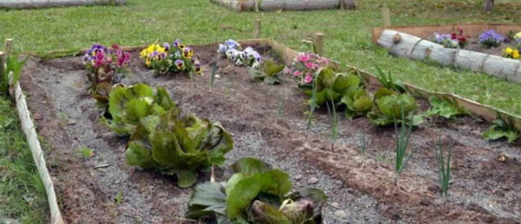 Guaymallén entrega semillas para huertas agroecológicas