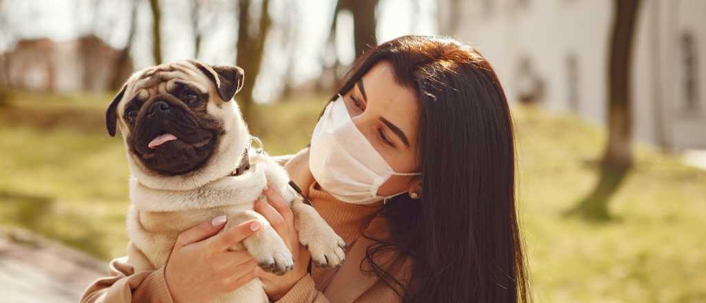 Mascotas: esto es lo que más odia tu perro 