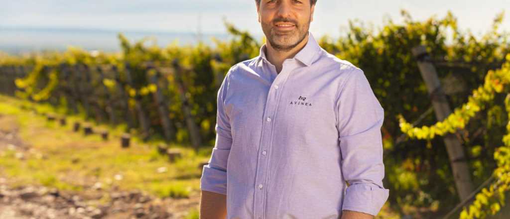 Millonaria inversión de Alejandro Bulgheroni en sus bodegas mendocinas