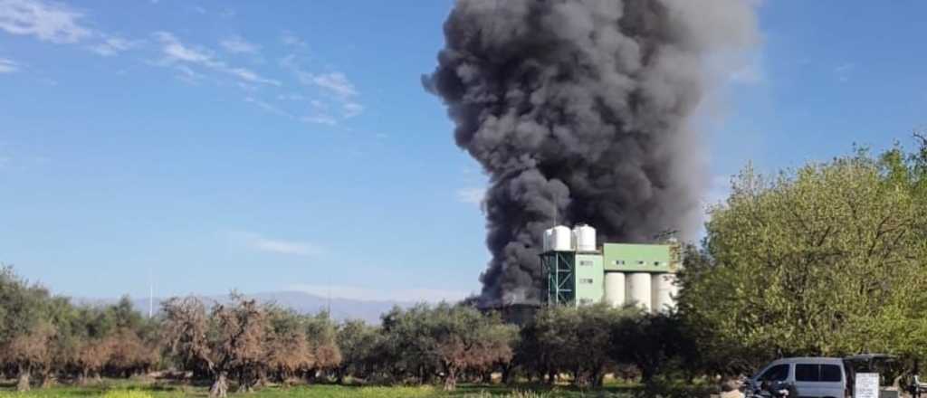 Controlaron el incendio en Rayen Curá