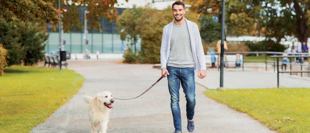 Así podés enseñarle a tu perro a que no tire de la correa