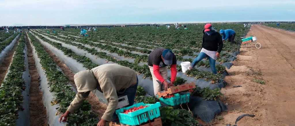 Las claves del proyecto agroindustrial que no conformó a Mendoza