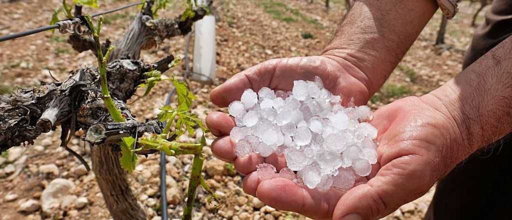 Video: el granizo destrozó fincas en la Zona Este