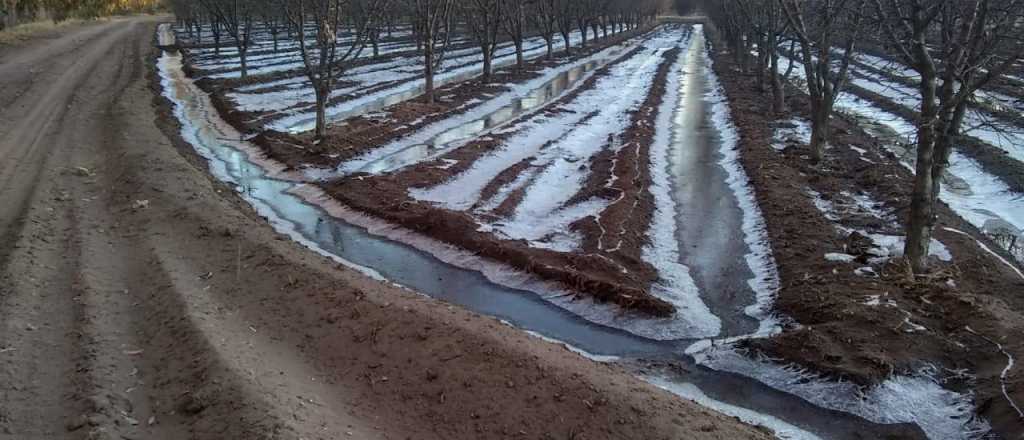 Contingencias Climáticas abre el registro de denuncias por heladas