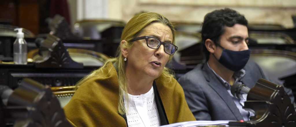 El "patinazo" de los diputados de Cambia Mendoza