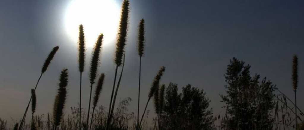 ¿Cómo afecta la luz de la luna a las plantas?