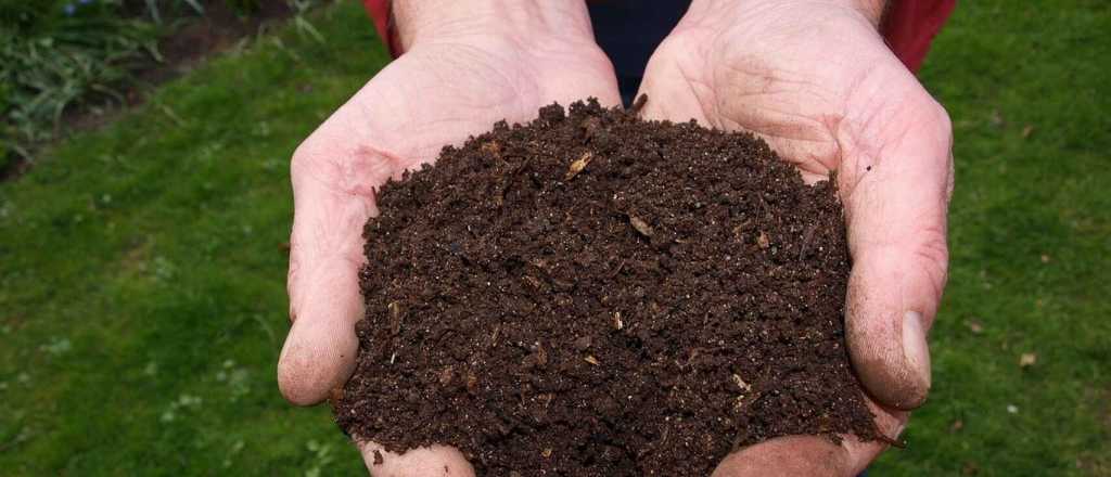 La mejor manera de hacer compost para tu huerta