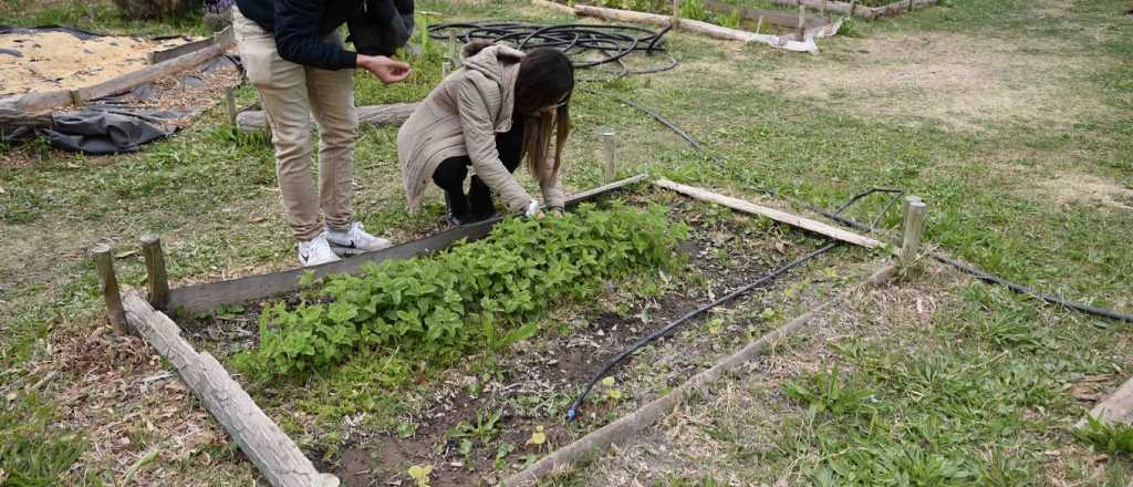 Finalizó la capacitación de huertas agroecológicas en Guaymallén