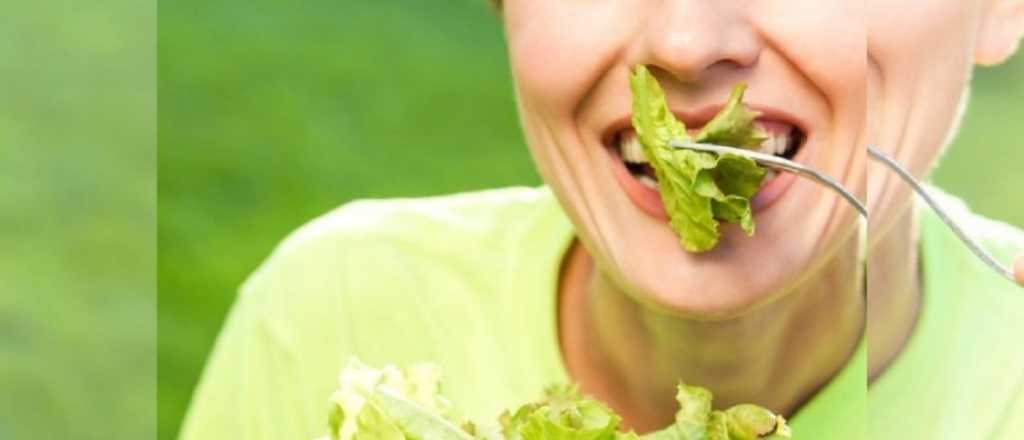 Comprobado: estos beneficios para el cuerpo tiene comer lechuga