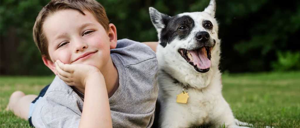 Así demuestra tu perro que es feliz