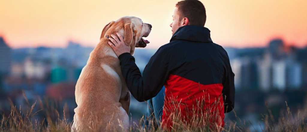 ¿Qué sucede cuando abrazas a tu perro?