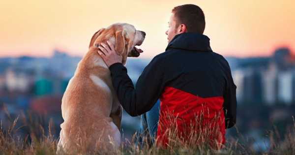 abrazar a tu perro les da ansiedad