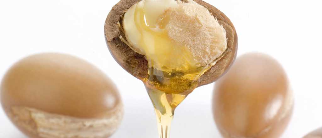 Qué es el Argán: el oleo precioso que podés encontrar en el súper