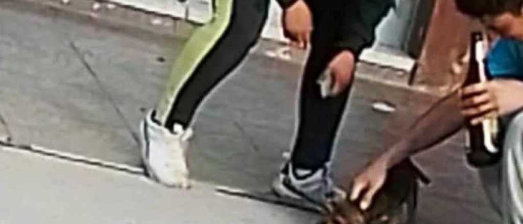 Video: una pareja obligó a un perro a tomar cerveza en Maipú