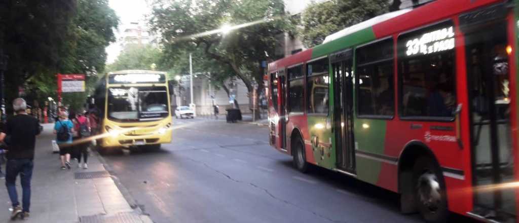 Para el Gobierno el boleto debería costar $180 sin subsidios