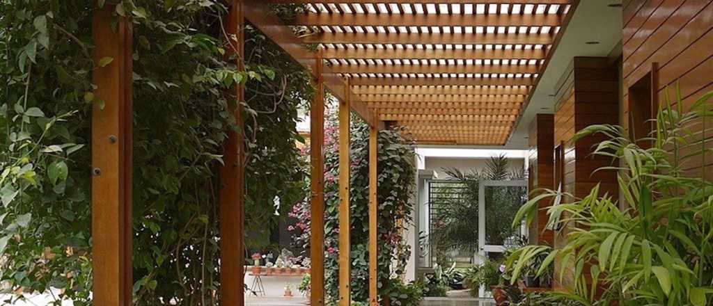 Cinco consejos para mantener impecable tu pérgola de madera