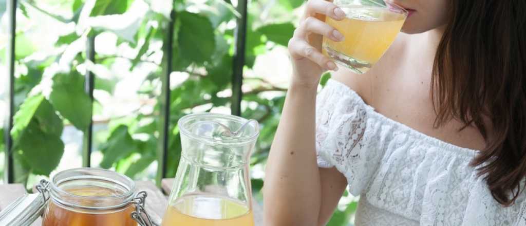 Kombucha: estos son sus verdaderos beneficios según la ciencia