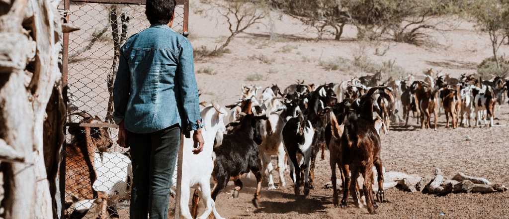 Lavalle entregó fondos a productores rurales