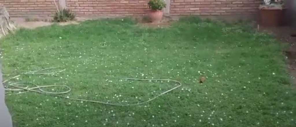 Fuerte tormenta de granizo en el Sur de Mendoza