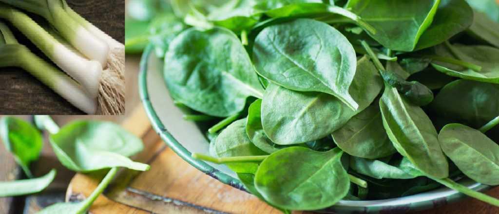 Estas son las verduras verdes que debes consumir este verano