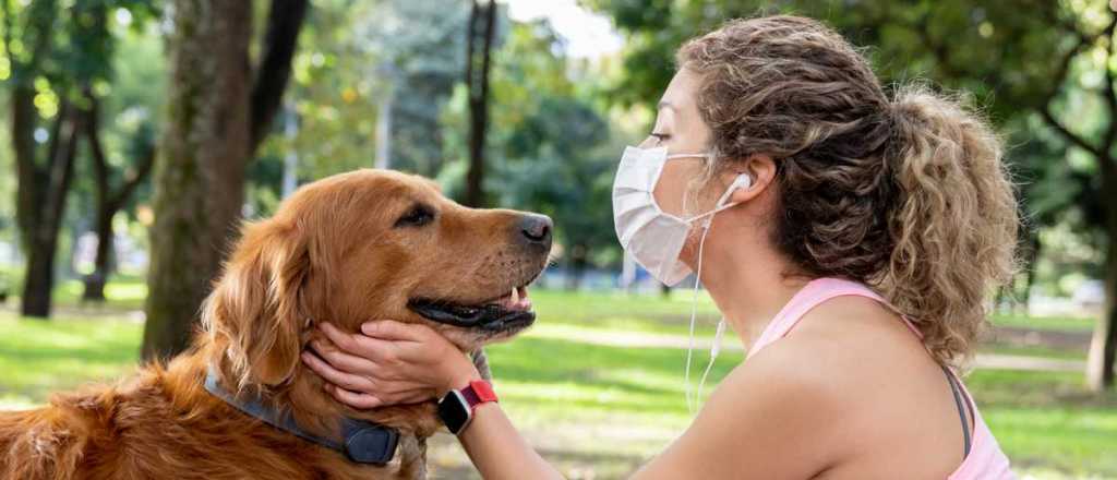 Perros y dueños, un vínculo tan estrecho como el de una madre con un hijo