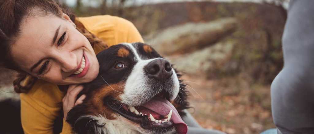 Descubren el gen detrás de la domesticación de los perros