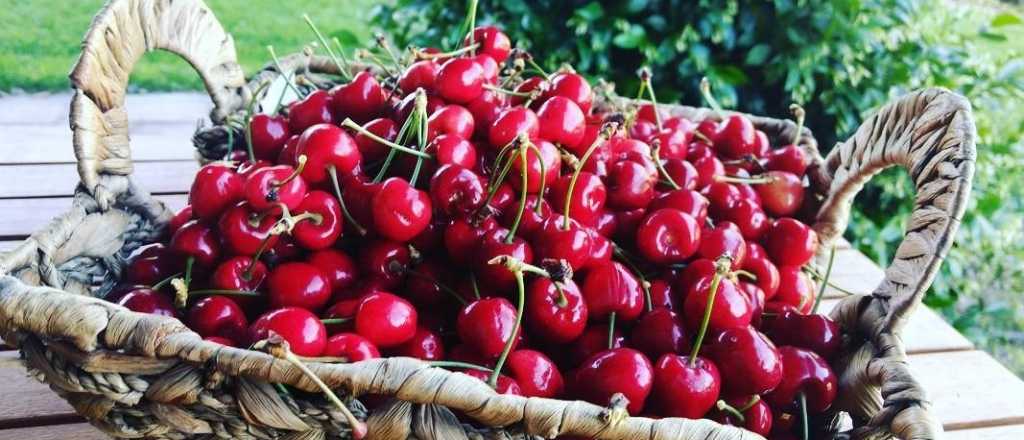 Cerezas: cuando baja el precio es el momento de hacer dulce