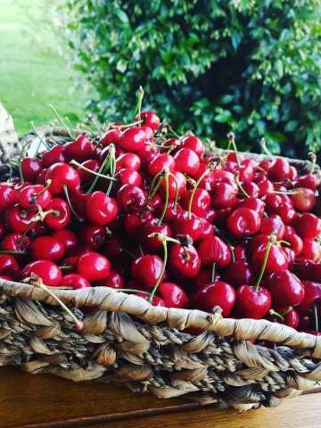 Cerezas: cuando baja el precio es el momento de hacer dulce - Mendoza Post