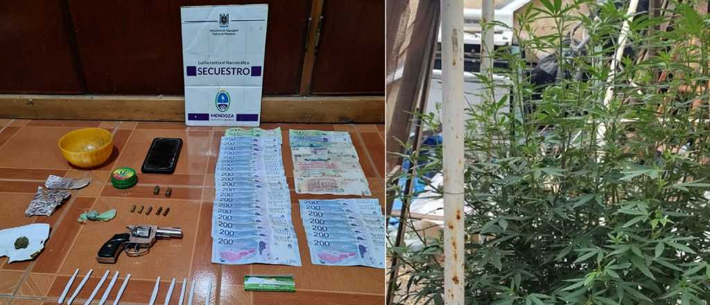 Desbarataron kioscos de droga en Santa Rosa, Tunuyán y Ciudad