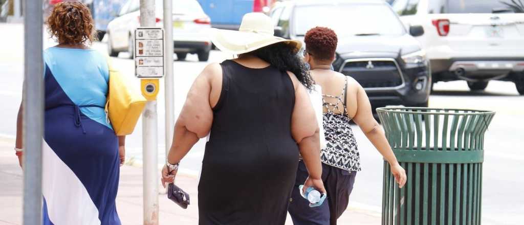 Los probióticos podrían ayudar a controlar la obesidad