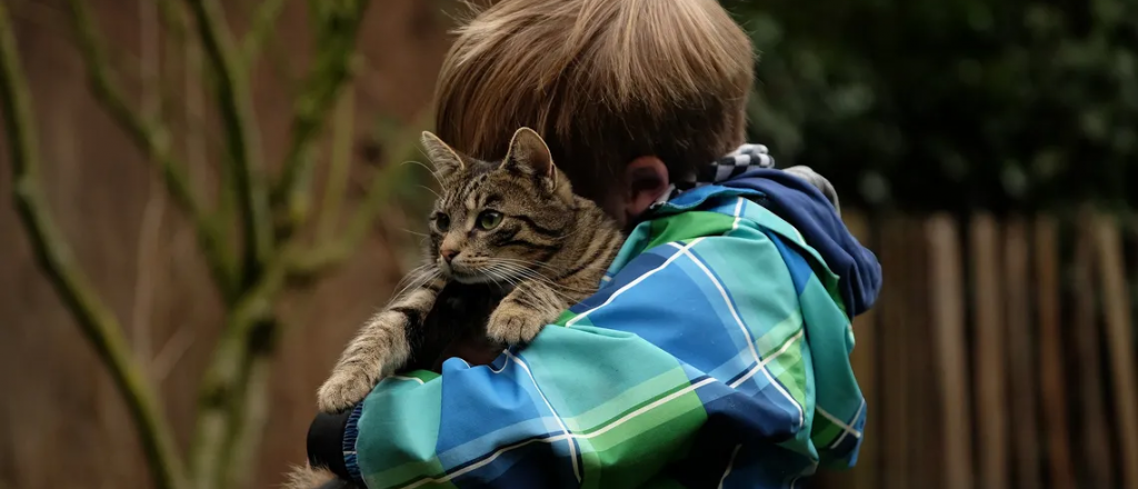 Gatos y chicos pequeños, ¿buena idea?