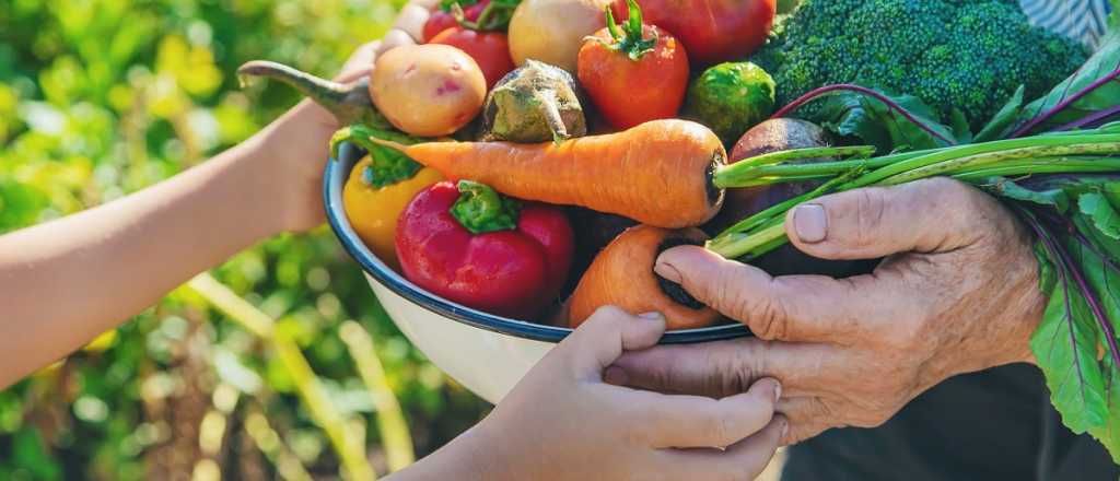 Por qué las verduras son grandes aliadas para cuidar los huesos