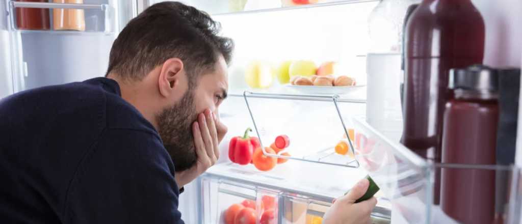 El método infalible para limpiar tu heladera y eliminar malos olores