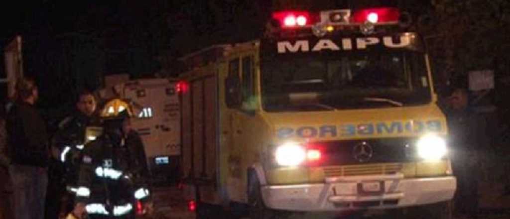 Se incendió una palmera en Maipú y casi ocasiona un desastre