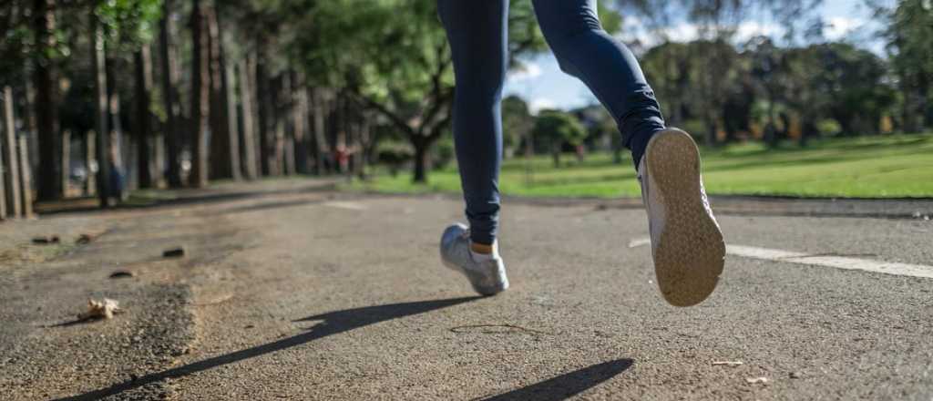 Lo dice Harvard: el ser humano no está hecho para correr