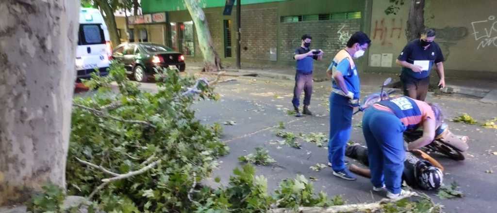 Una rama cayó sobre un motociclista en Ciudad